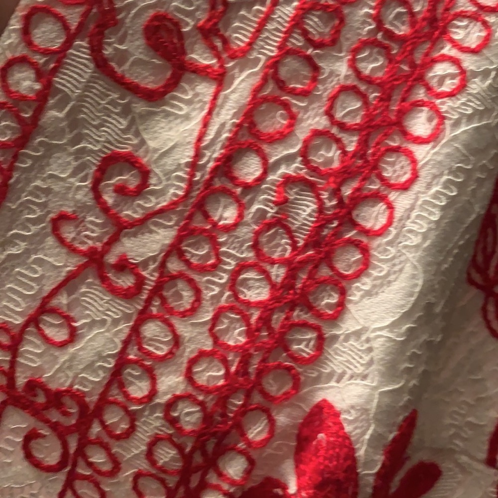 Lace Dress - Picture 4 of 5